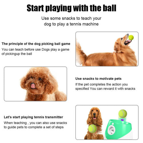 Dog Health eBook + Tennis Ball Machine Automatic Throw Pet